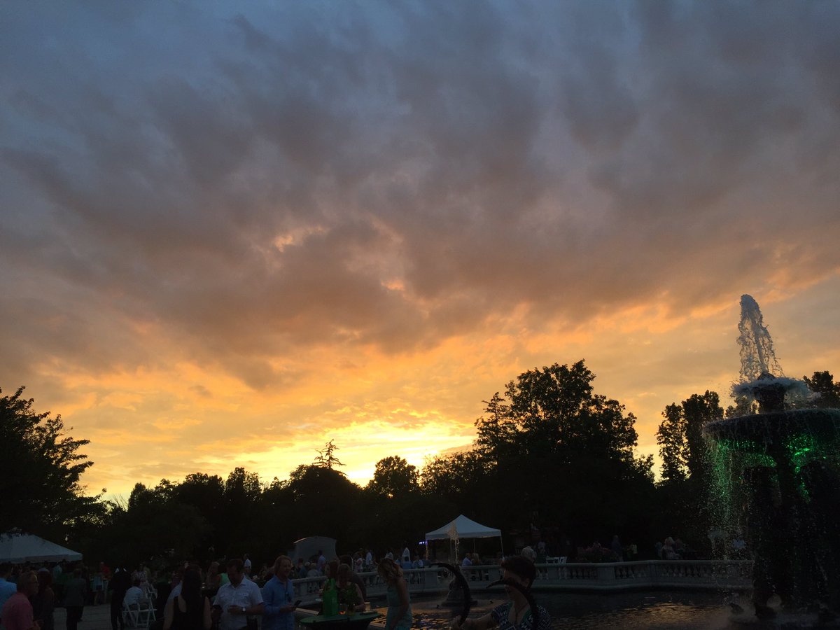 atopouzian's tweet photo. A perfect night @detroitzoo for #SunsetattheZoo https://t.co/FgW5suX5b1