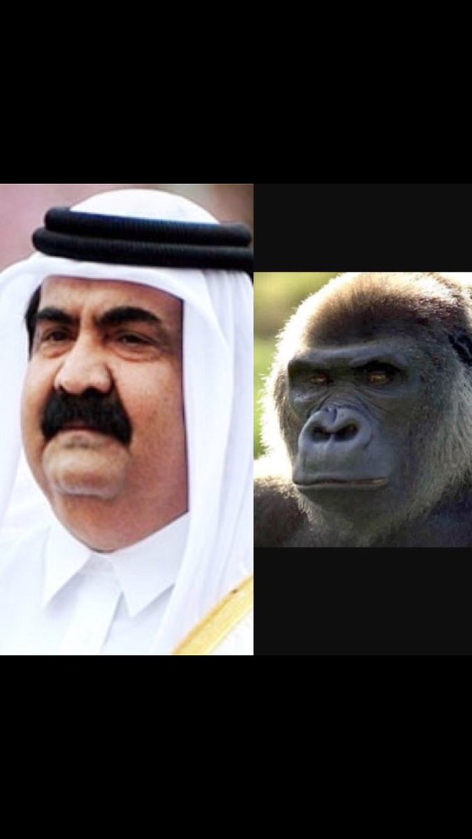 mesho_5550's tweet photo. #تهويش_موب_طق
اللي يطّلع الفرق بين الصورتين له نشر في السناب ههههههههههههههههههه 
سنابي xe-16
😂😂😂😂 https://t.co/Dfpa5P4sEf