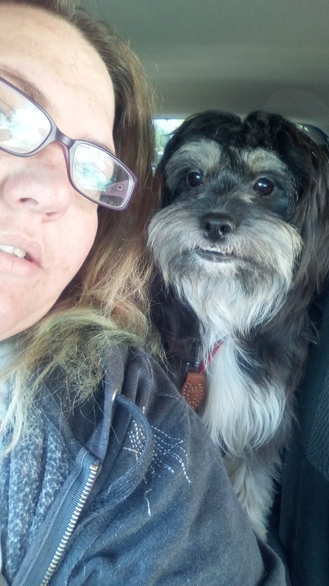 DarkWingDes's tweet photo. His name is Walter!! He is missing in Ontario California!! My Muppet dog. #pleasebringwalterhome #lostpets #lostdog #helpfindwalter https://t.co/wosngsMR5z