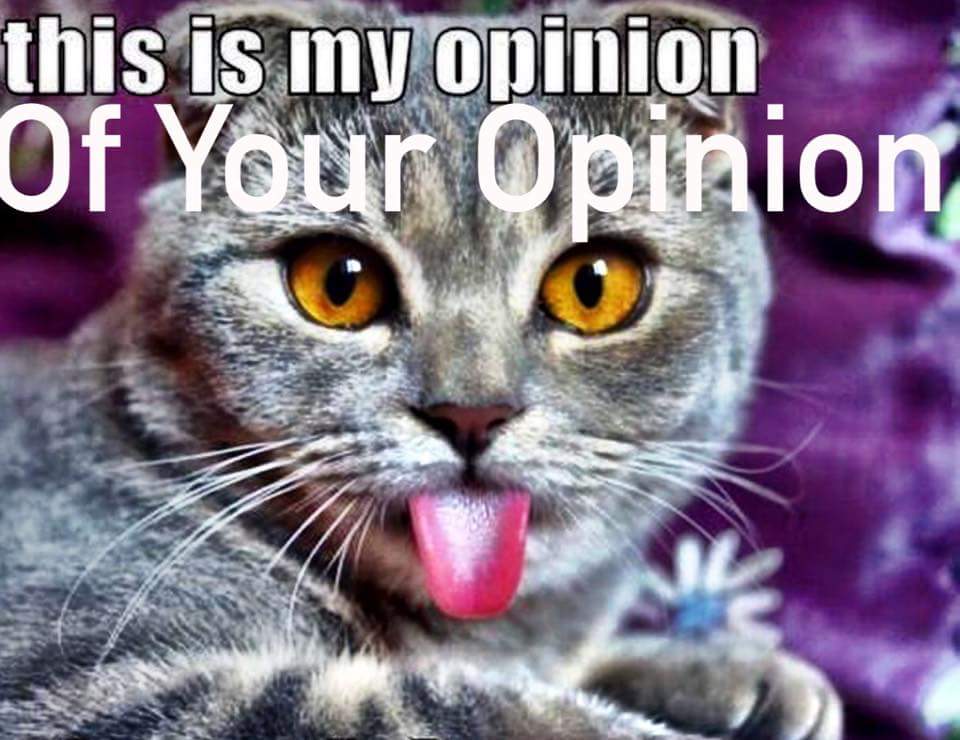 KatTUDE's tweet photo. #Opinion #FridayThoughts #fridaynight 
#Cat #CatsRule 😉🐈🌝🐱😍 https://t.co/utgZIeRS9c