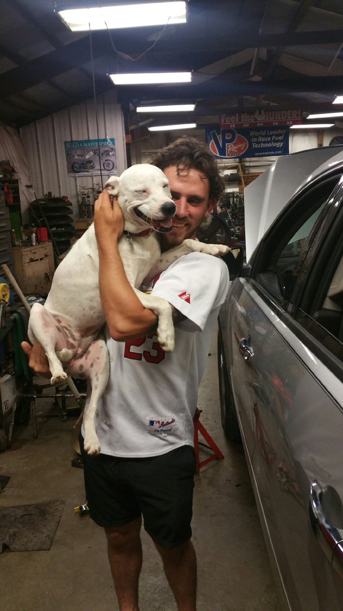 Bmljones's tweet photo. Saturday's are for the boys. But Fridays for the pups! https://t.co/Tsfq2EUQMZ
