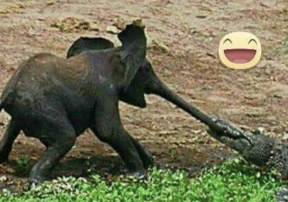 wornicks's tweet image. Moi, qui essaye de quitter la friendzone