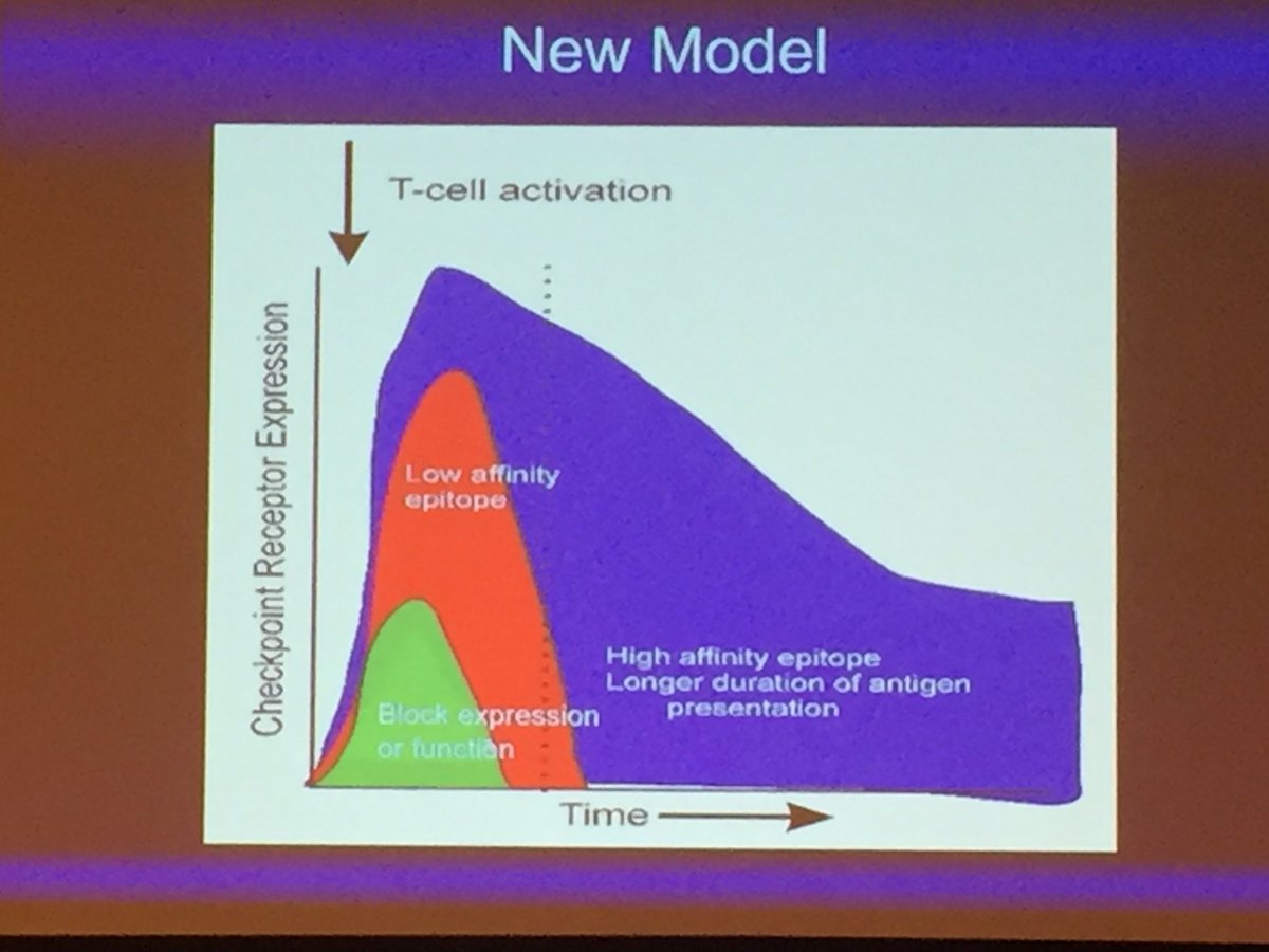 gulleyj1's tweet photo. Doug McNeel suggests why using up front PD1 inhibition works better with vaccine #PCFAcademy https://t.co/uXWNBJw0OF