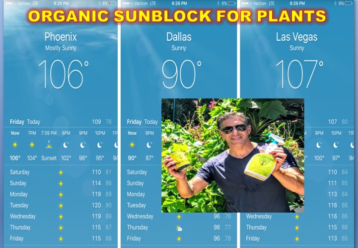 IV_Organics's tweet photo. Beat the heat w/ #IVOrganic #3in1 #PlantGuard #OrganicSunblockForPlants
YouTube Link 👇👇👇👇
https://t.co/CRbkXvXPQd https://t.co/mLRmnSozE6