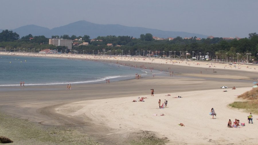 Vigo__e's tweet photo. Proponen habilitar uno de los extremos de Samil como playa para mascotas https://t.co/8P6DNfNA2m #Vigo https://t.co/p7k4bhv4q2