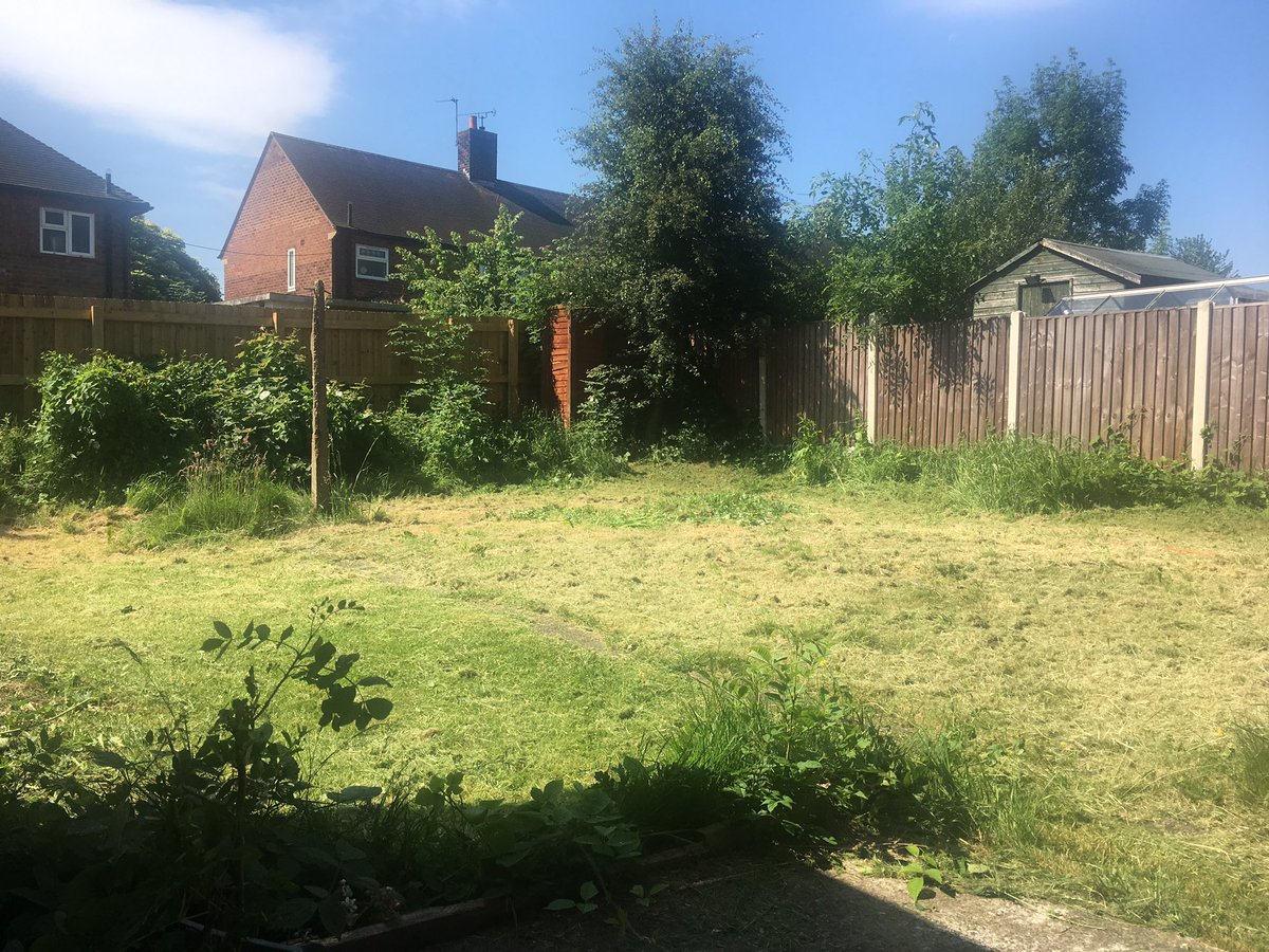 MissRoe's tweet photo. Sunny hangover gardening! https://t.co/Q90rhoJs7X