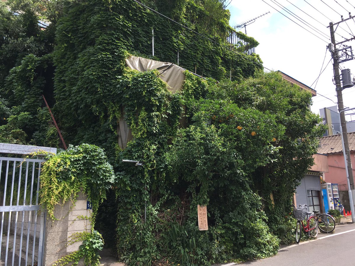 merci_kensuke's tweet photo. 山谷のドヤ街で発見した旅館”いなりや”。
営業しているのかしていないのか全く不明だが、飛行石の導く光によって辿り着いた空の上のお城風なのは間違いない。
シーターぁっ！！！

＃山谷地区 ＃荒川区 ＃ドヤ街 ＃廃墟 https://t.co/WCiNL95Aia