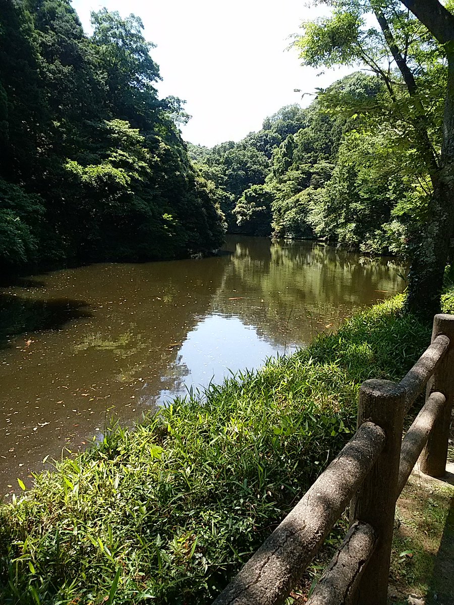鎌倉ガイド協会 Twitterren 散在ガ池森林公園 今泉台7丁目 江戸末期に灌漑用水池が作られ 散在池 と呼ばれてきた場所です 昭和57年から森林公園として整備され 水辺の散策ができる せせらぎの小径 など自然の癒しスポットとして利用されています 6月17日