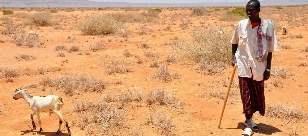 A_gui_la's tweet photo. "READ: Land degradation and desertification fundamentally undermine the carrying…" https://t.co/mJd3H5plhs #2017WDCD https://t.co/d9dvlyjqxV https://t.co/6RIWbhmEgQ