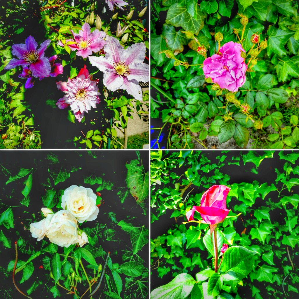 catteam's tweet image. Wochenrückblick KW 24 pop64.com/unentschieden/…