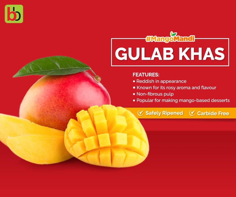 bigbasket_com's tweet photo. Mango desserts anyone? Here's the perfect match!
Get them on #bigbasket here: https://t.co/Q5sD6nY7Ya
#MangoMandi #MangoSeason https://t.co/GI07frk10U