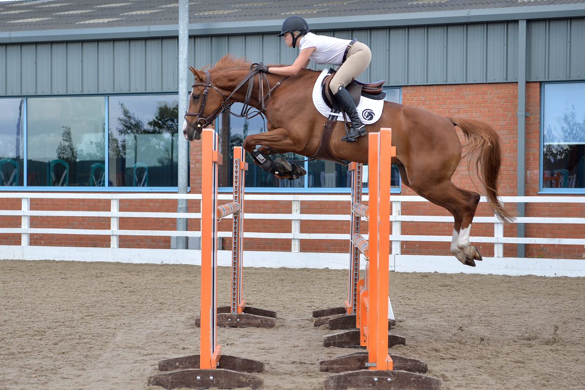 Samii_K7's tweet photo. Big thanks to sponsors for their support! Highly recommend @equineprodsuk @Forelock_LoadEQ #flexivite #haemaviteBplus #skshowjumping https://t.co/GKxBdqeLkL