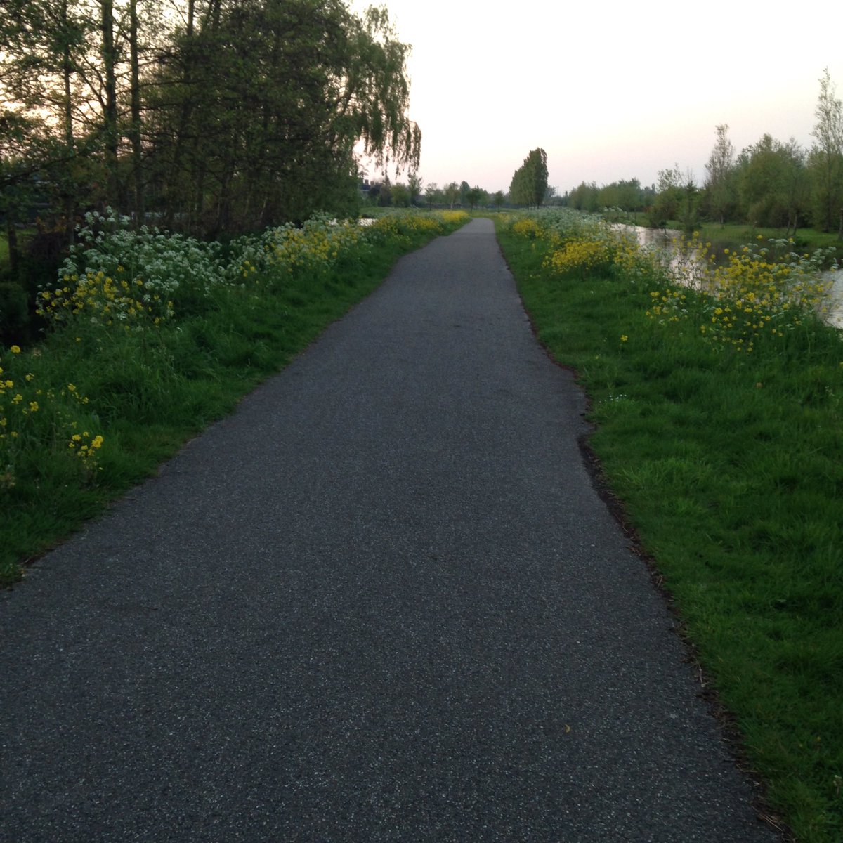 VanBijsterveldt's tweet photo. Dit weekend zijn de Midden-Delfland Dagen, een stukje lopen of fietsen en het landschap ligt aan je voeten! @StapUitJeStad @MiddenDLdag https://t.co/ChNImKdKPS