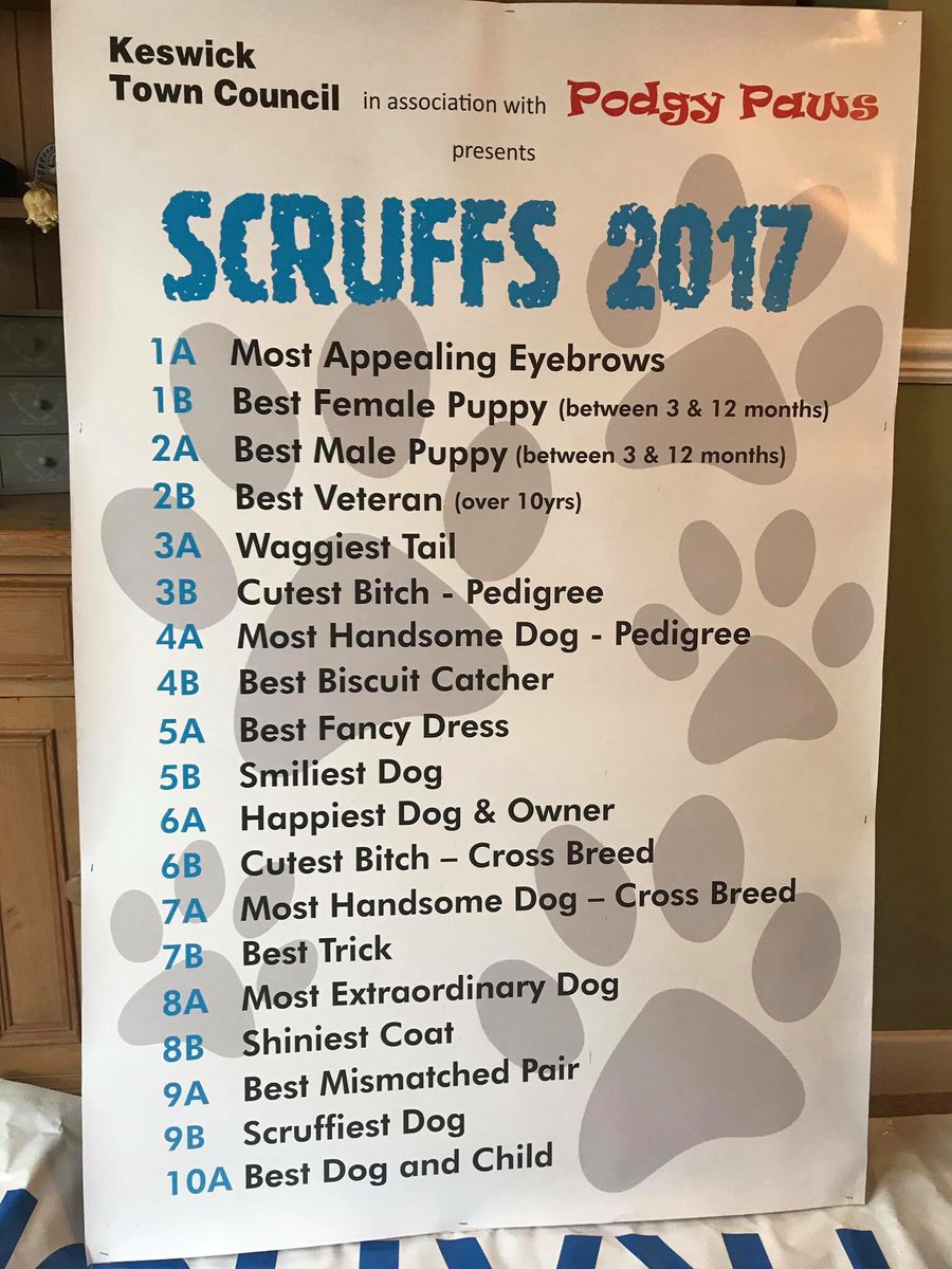 Zak the Collie Dog tweet media