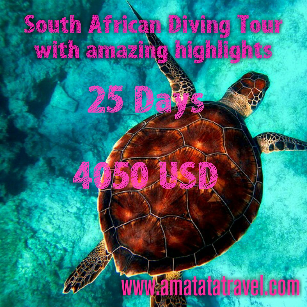 AfricaChick's tweet image. amatatatravel.com/tour/drakensbe… #diving #AfricanTours