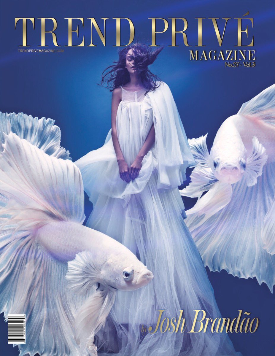 Trend Privé Magazine tweet media