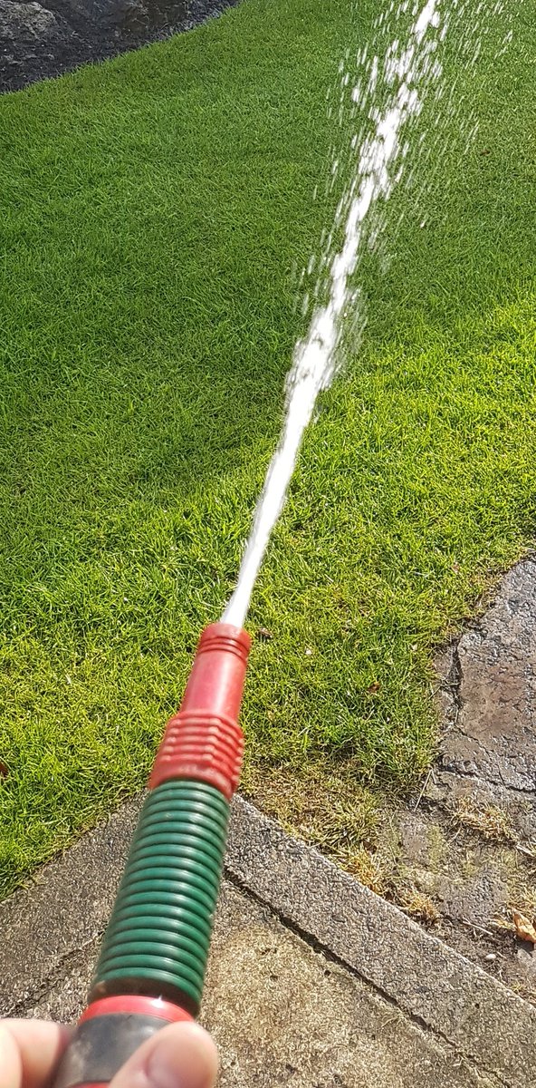 SharpesLawnCare's tweet photo. Water your lawns in the morning to help avoid red thread this time of year. Grass is a plant so needs watering. #lawncare #lawns #Formby https://t.co/CiHaZcyN2O