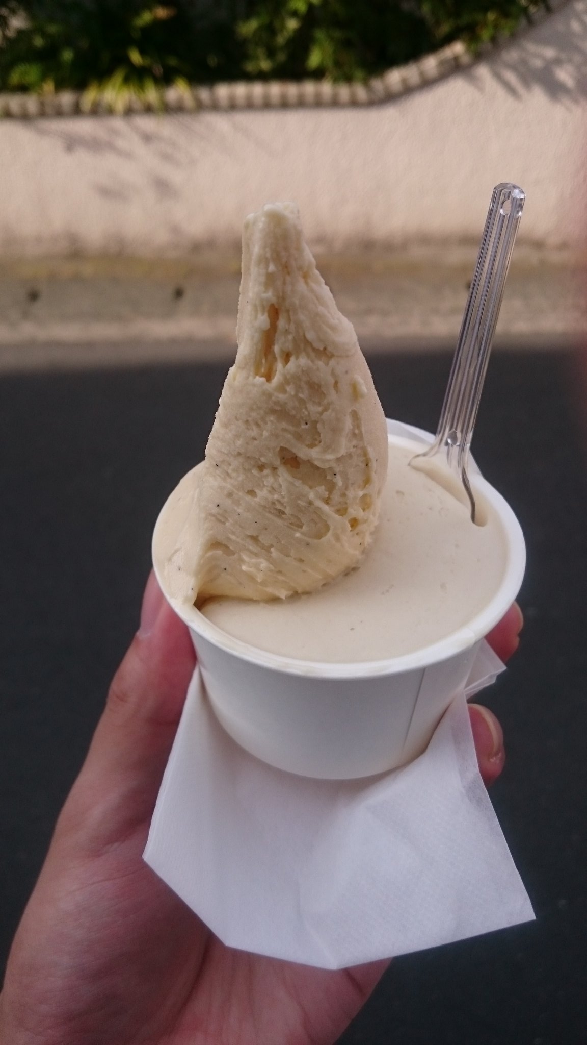 とってぃ ジェラテリア イル ブリガンテのジェラート 1700円 上がタヒチバニラ 下がシチリアアーモンド タヒチバニラは香りが強くてバニラの王って感じでした シチリアアーモンドは普通のアーモンドと違いフルーティ 少し杏仁豆腐っぽい な香りと若干