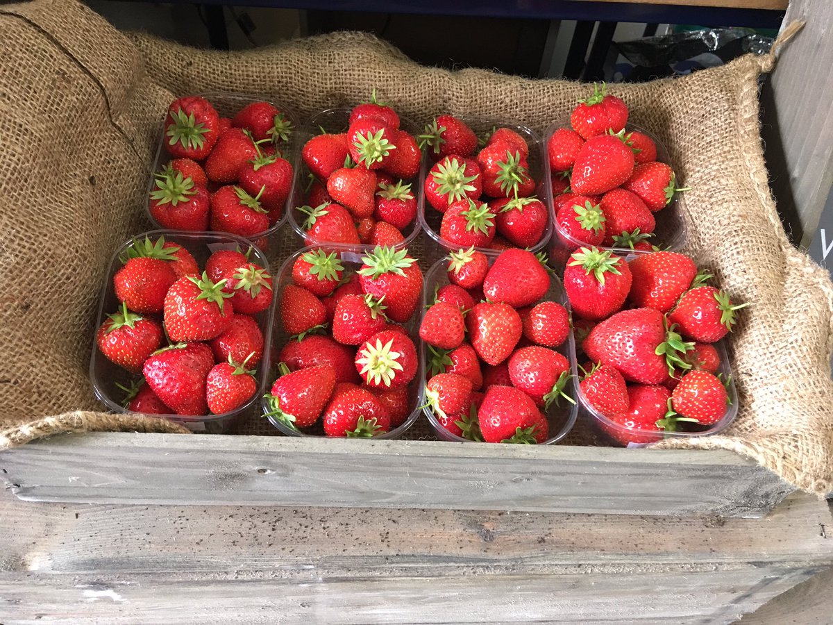 Hortyphil's tweet photo. PYO strawberries at Link Nurseries#fresh#local produce!! https://t.co/JAAcMJ4jYl