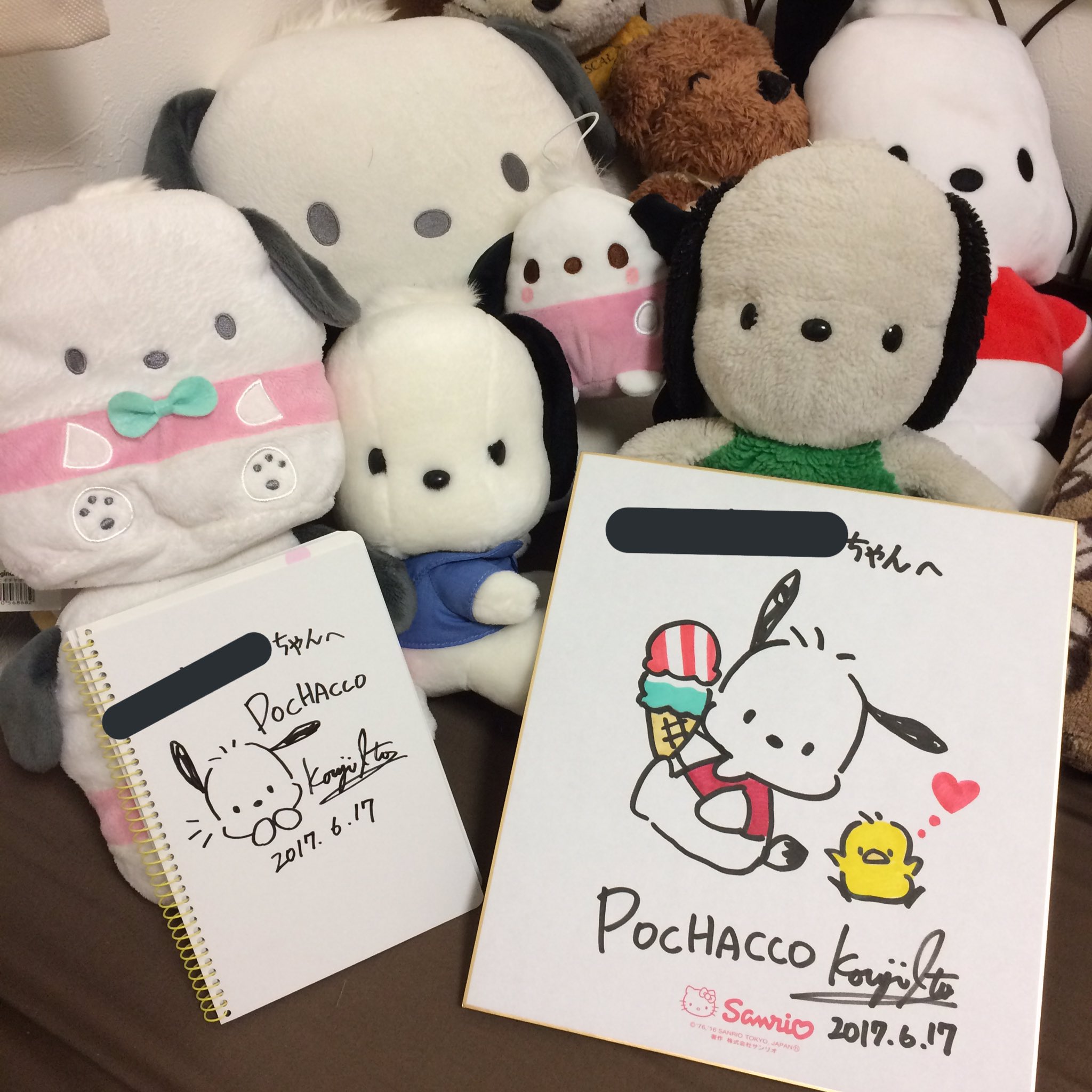 ポチャッコ　直筆イラストサイン色紙　伊藤康二　サンリオ　価格交渉可 ポチャッコ直筆イラストサイン色紙伊藤康二サンリオ価格交渉可