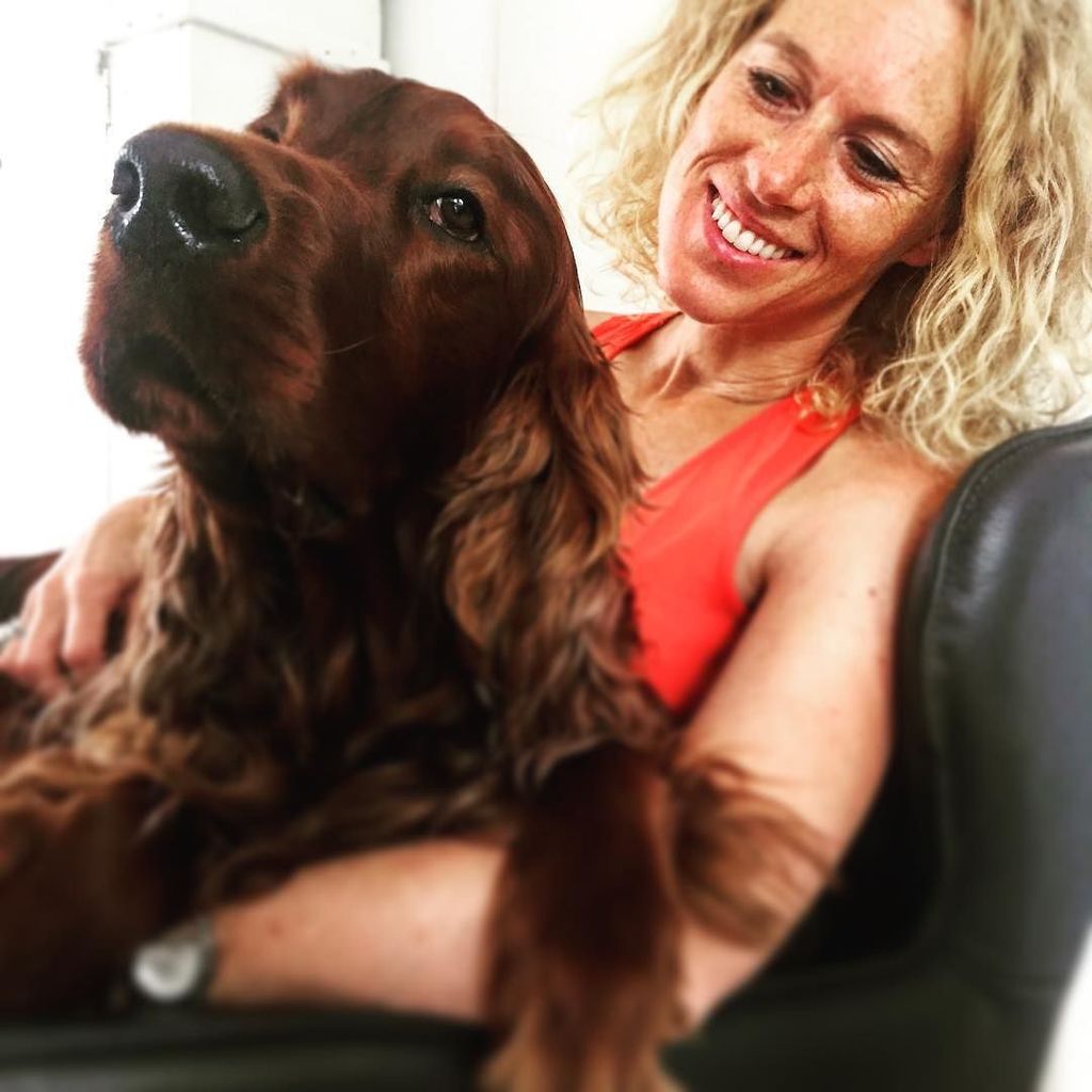 JamesJungleland's tweet photo. Lapdance 😉
#setterselfie #irishredsetter #irishsetter #redsetter #setter #setterofinstagram #setterlove #instaset… https://t.co/L3IRlBvw5E https://t.co/oaNp40Cei9