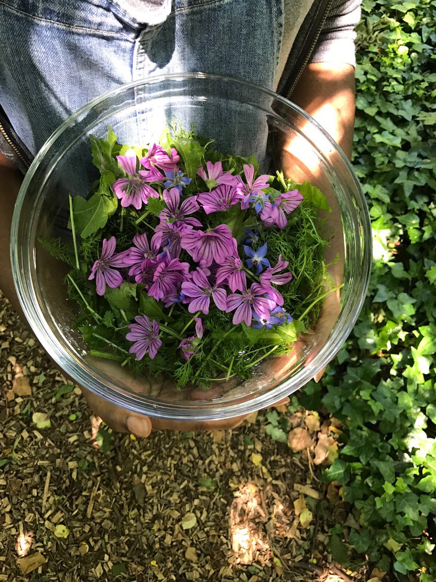 PhytologyLondon's tweet image. Phytology is open today 11am-6pm |11am-1pm |Herbs to PROTECT| WORKSHOP 1-2pm #sharedlunch|2-4pm Drop-in Botanical Drawing #bethnalgreen