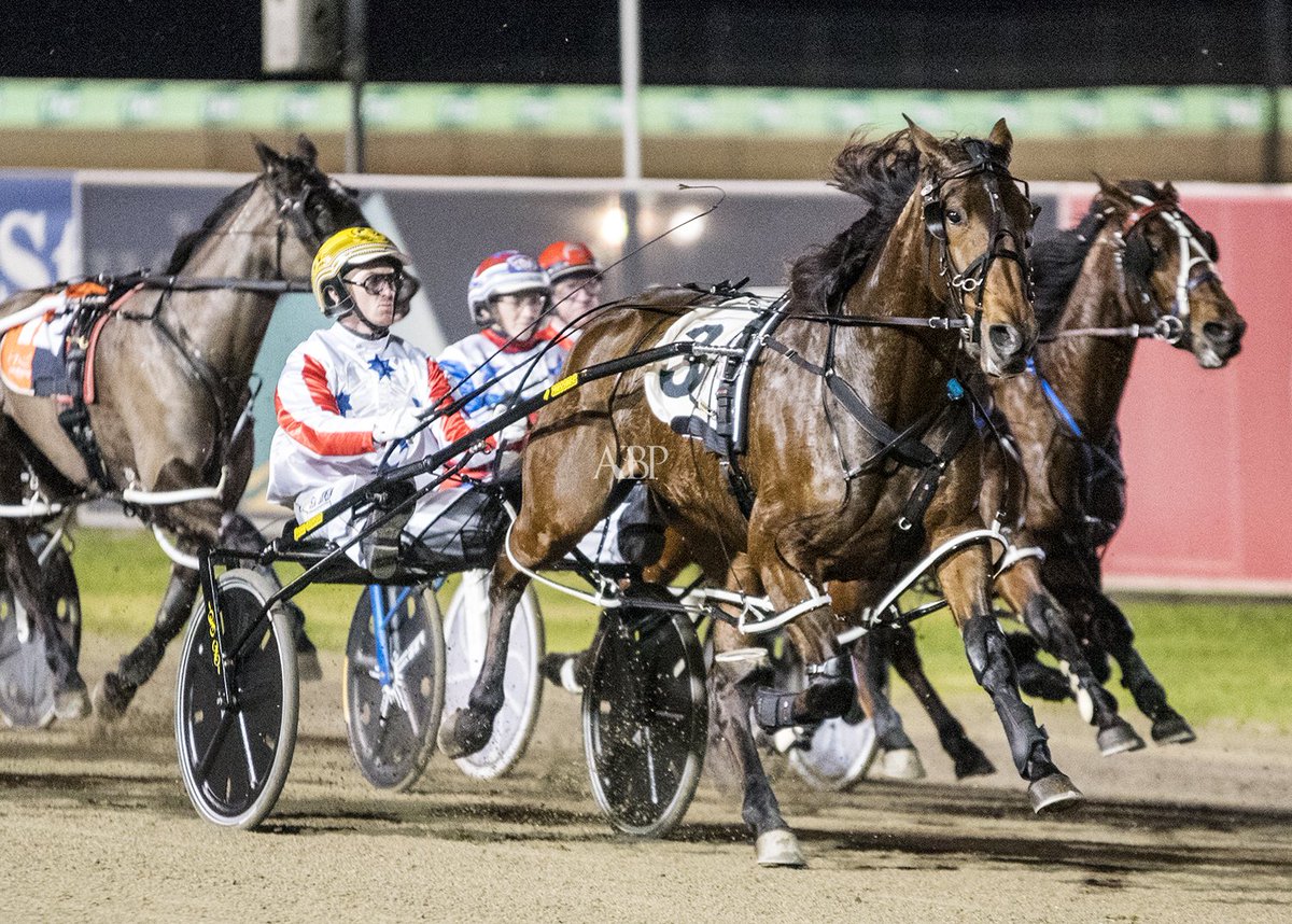 ashbrennanphoto's tweet photo. Breeders Challenge Semi Final 3YO Fillies - DONT THINK TWICE - @GrimsonJason #Trots https://t.co/HZMI0X2J5V