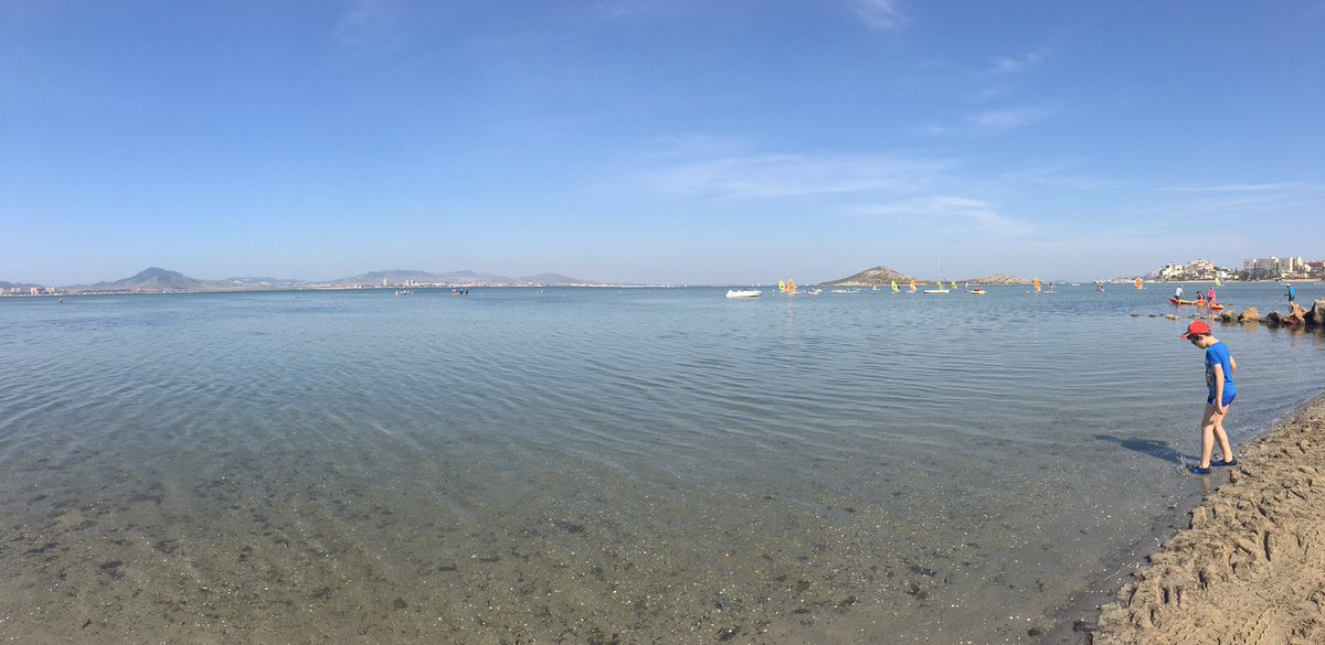 _mrosa_'s tweet photo. En nuestro #MarMenor 🐟#Murcia https://t.co/0zXE6EugOy