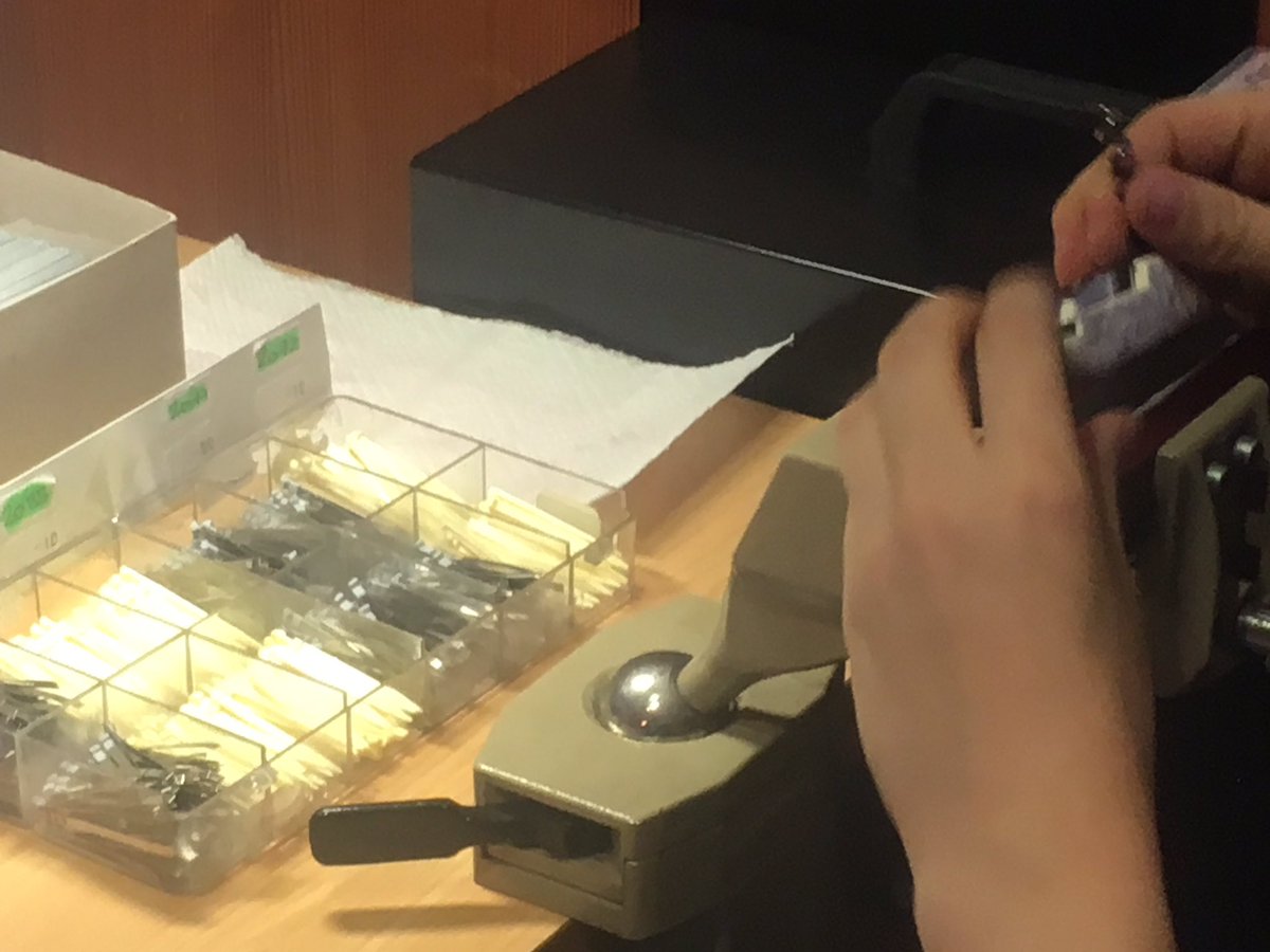 TeamTeslaS's tweet image. Wave stopped to visit #Victorinox in Ibach. Thx for the little gift! #Wave2017 #TeslaSharing #eGrandTour