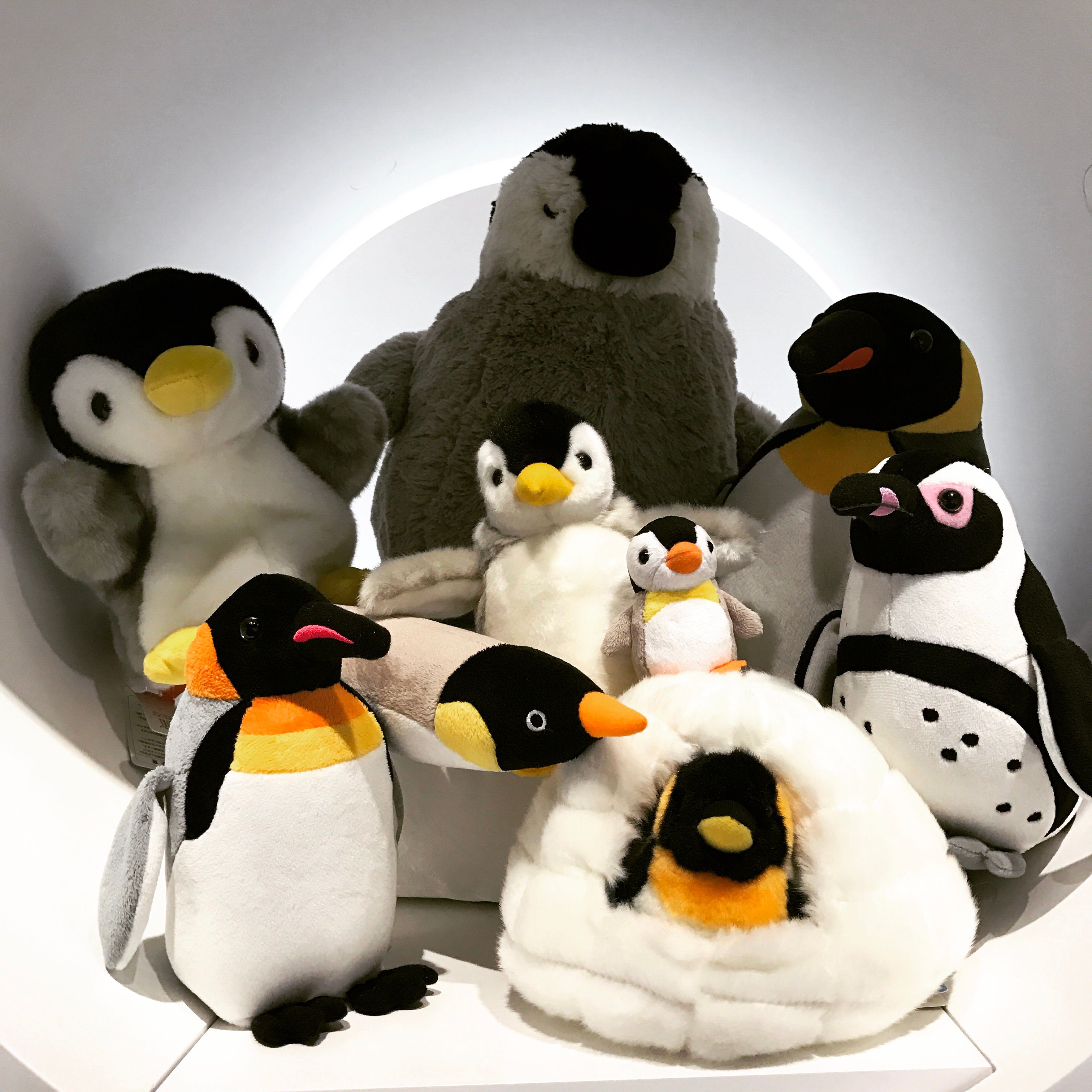 ○ ペンギン ぬいぐるみ 株式会社aqua アクア 水族館 面倒い ○ ペンギン ぬいぐるみ 株式会社aqua アクア 水族館 面倒い