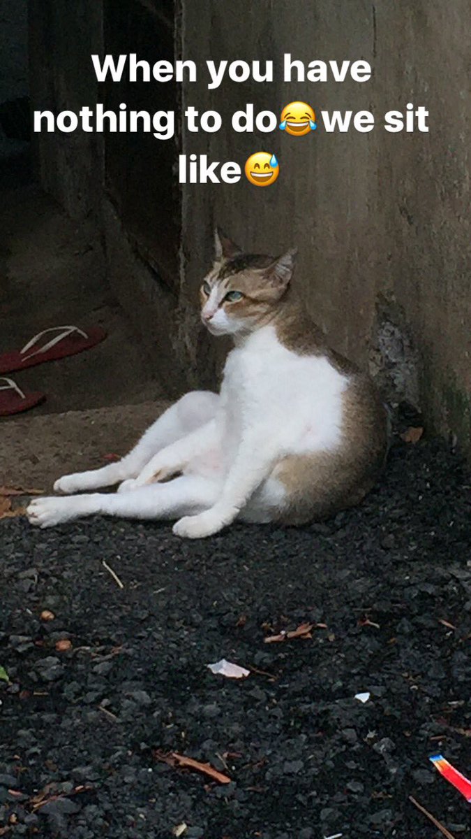 Te_Zodiac's tweet photo. #MEMES #funny #justforfun  Tag Your Friend Who Sits Like This😂 https://t.co/TfA7wPL3F7
