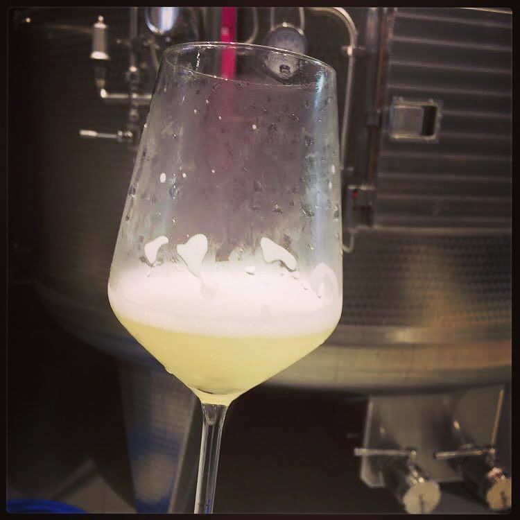 winemakeracadem's tweet photo. #taste #prosecco in the #cellar 🥂🥂🥂🥂🥂🥂🥂 This matte color is given by the second fermentation of the #wine prosecco… https://t.co/OcNjcOoz7V https://t.co/yOv3dvKjQI