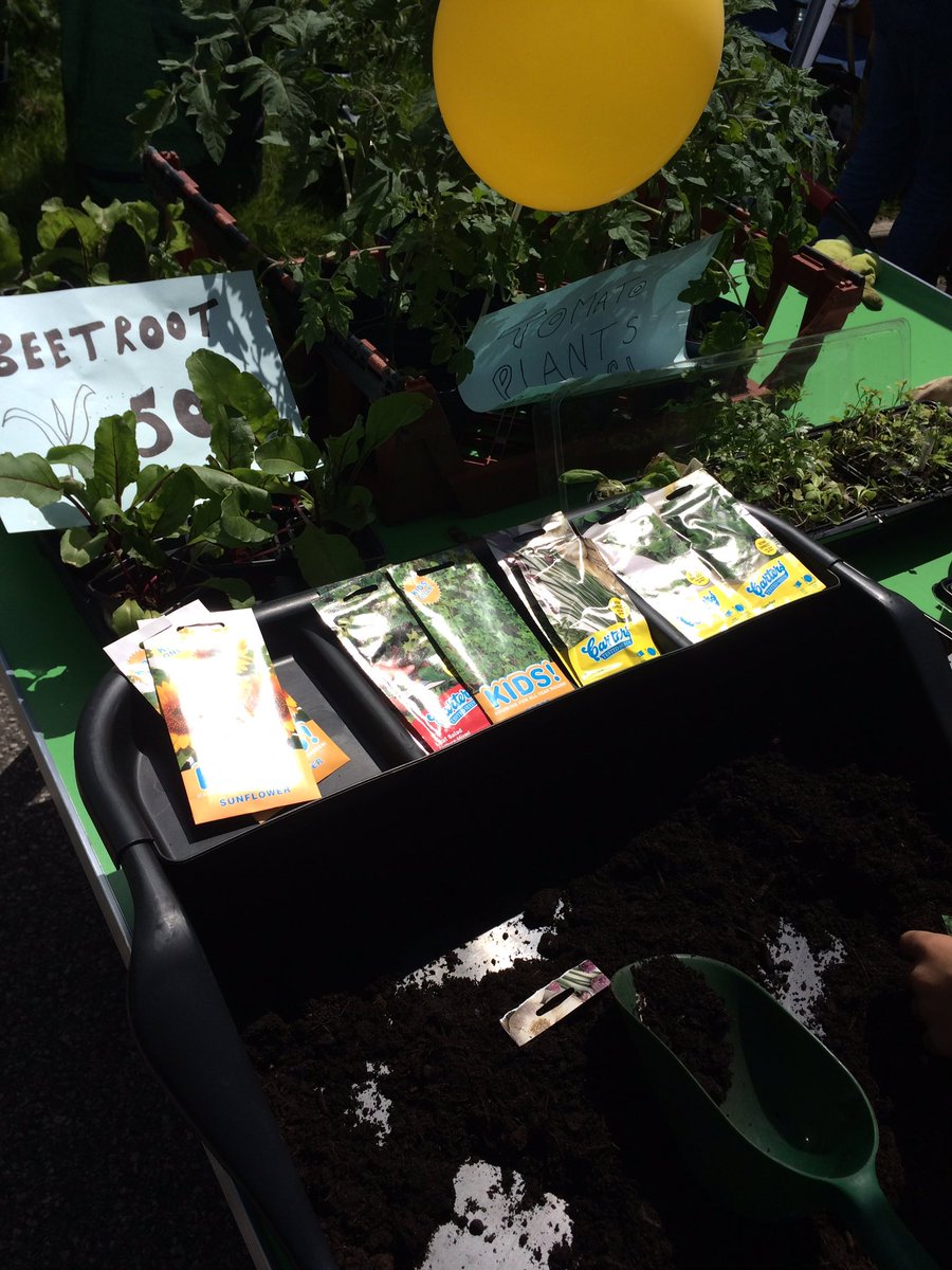 Hill Top Surgery tweet media