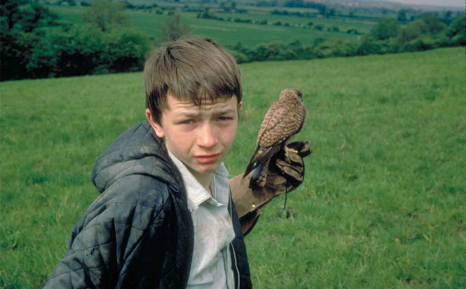 Happy Birthday Ken Loach! Is this still the veteran British director s best film?  