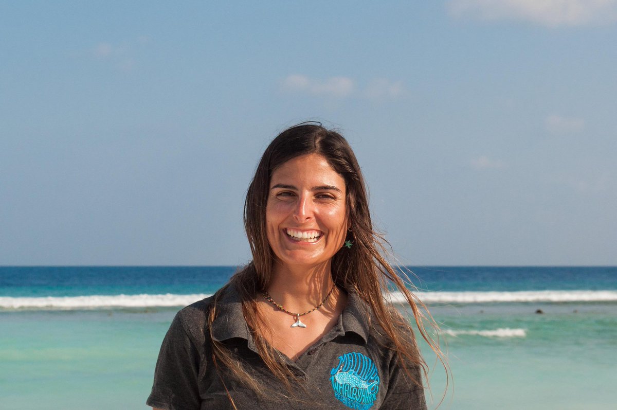 🦈/🐳🏝️ 📷"Taurons balena a les Maldives, difícil equilibri entre turisme i conservació" via <a href="/ARAbalears/">Diari ARA Balears</a>  📰  arabalears.cat/balears/Tauron…