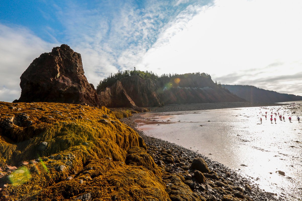 NotSinceMoses's tweet photo. Let's play "i spy" can you see the tiny runners on the ocean floor? Do this at our run Aug 12, 2017 #bayoffundy #runforyourlife https://t.co/YsGwRyJf2H