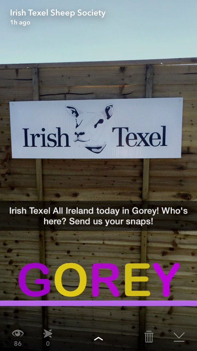 Our All Ireland Championship is on today in Gorey! Tweet us at #IrishTexel to tell us you're here!