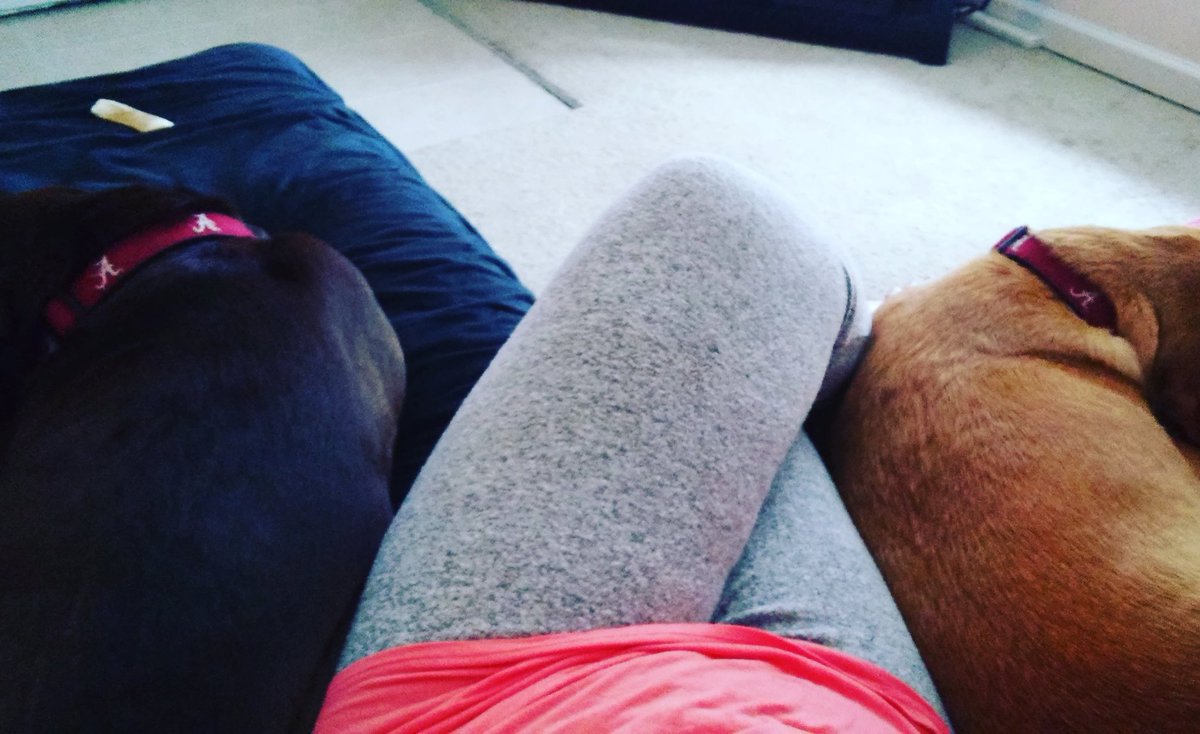 MagsandBails's tweet photo. Lazy morning with the pups! https://t.co/CEQV24tFYh