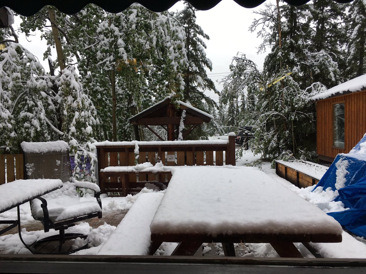 Ojephson's tweet photo. #KCIBR is cancelled. Also known as the #HainestoHaines Snow conditions make the race slightly challenging. https://t.co/31o4g4Rl9E