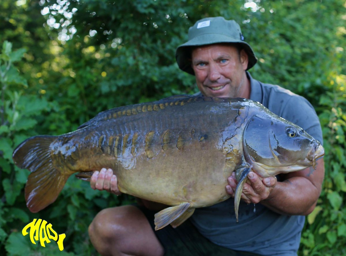madbaits's tweet photo. MAD Baits very own Jerry Hammond with a 40+ stunner from a very low stocked Southern Pit. #MADBaits #PureMadness #CompulsiveAnglerRange https://t.co/mrfKmp3fdZ