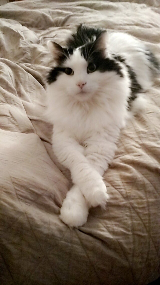 И, кажи ми нешто повеќе за себе...