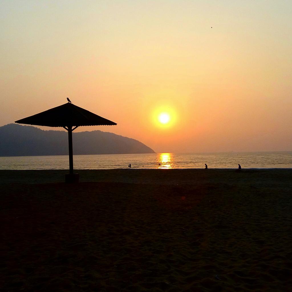Karwarians's tweet photo. #NewProfilePic https://t.co/TQoMeekVBh