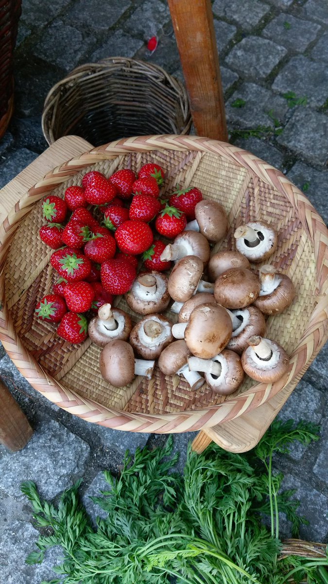 Dubliniaviking's tweet photo. Medieval cooking in Dublinia today until 4on. #cooking #medieval #thingstodo https://t.co/VvUtOYszqi