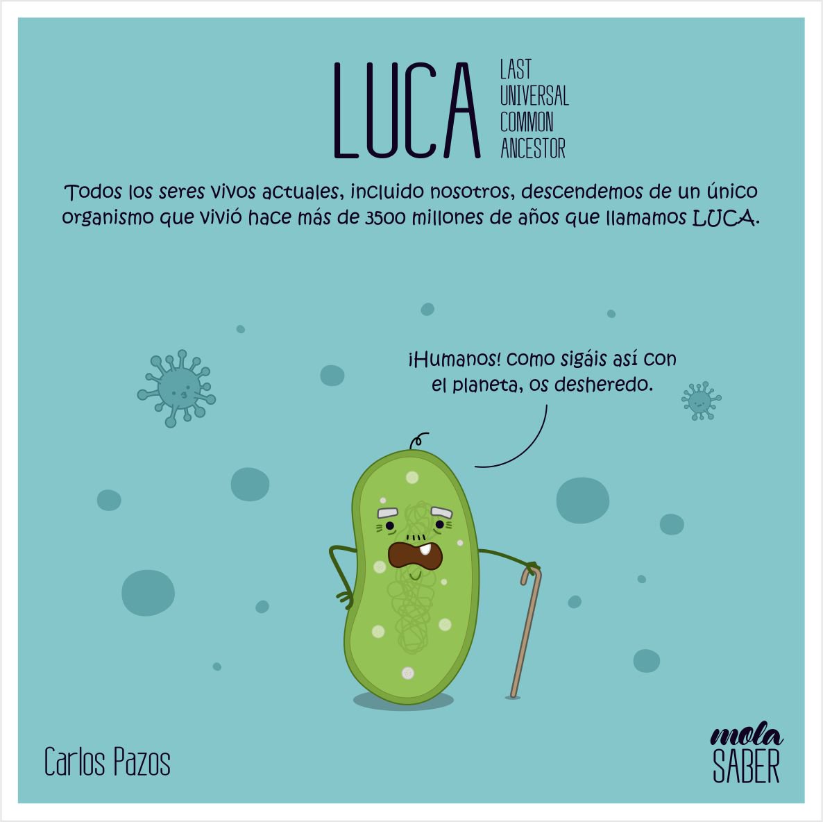 Este es #LUCA, el ancestro común a todos los seres vivos actuales. Es una pasada saber que estamos emparentados así.
molasaber.org/2017/06/17/si-…