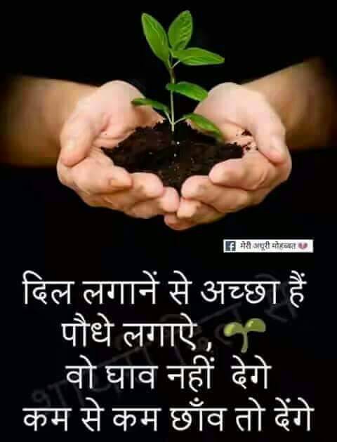 rautarchanared1's tweet photo. पाऊस आला....चला झाडे लावू या.... https://t.co/vpnZqGDgdD