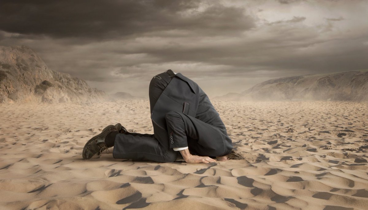 drequinox's tweet photo. Why the Blockchain Needs More Failures to Succeed - CoinDesk https://t.co/T2RxupfsiP #masteringblockchain #blockchain #fintech #ethldn https://t.co/BV5rHcgvau