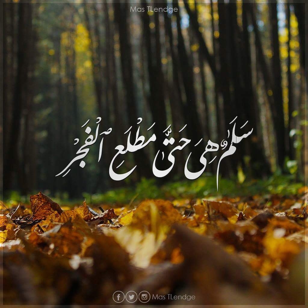 MasTLendge's tweet photo. سَلامٌ هِيَ حَتَّى مَطْلَعِ الْفَجْرِ (10) سورة القدر https://t.co/DyqcXbEBgE
