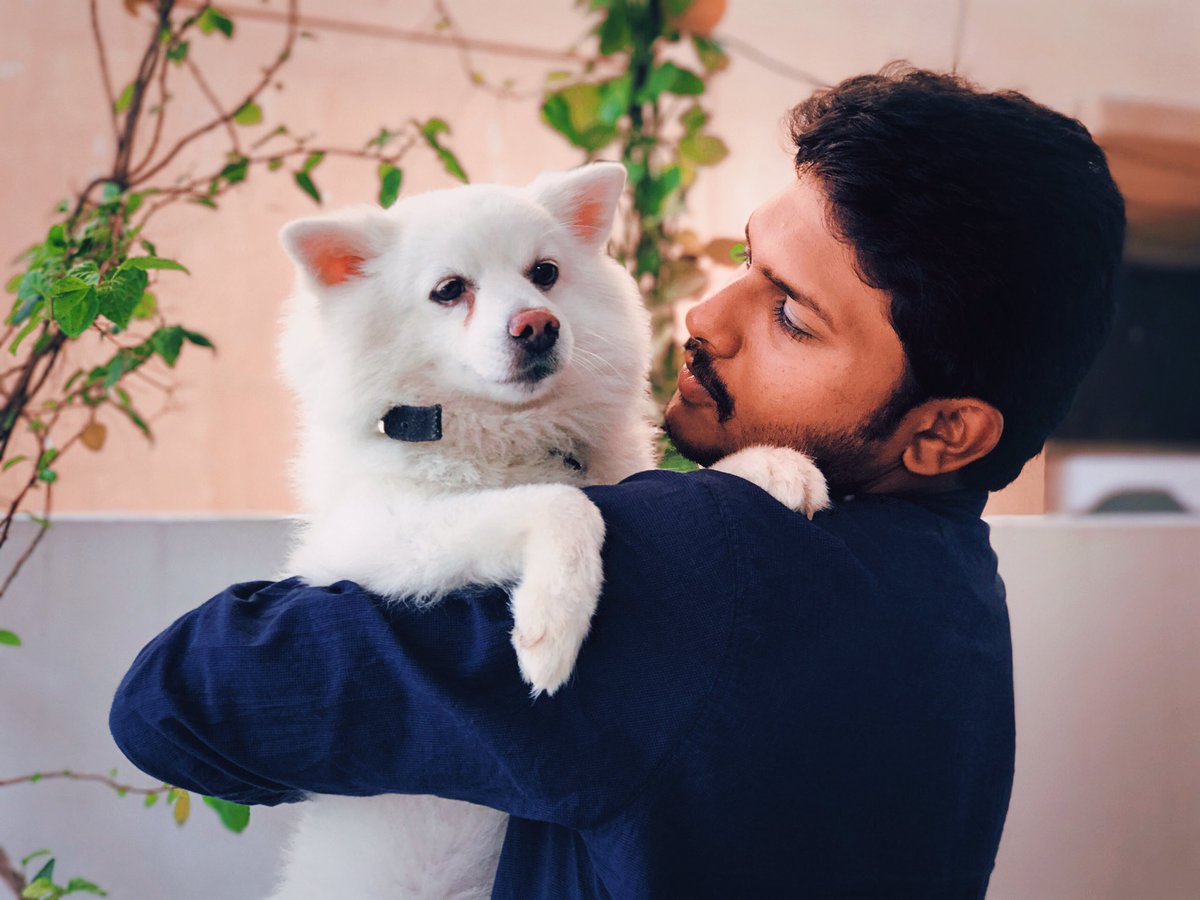 Syed1Anwar's tweet photo. The photo speaks for itself 😍 #Doglover #Pomerian #Rocksy #SyedAnwar #AnimalLove #Dogsofinsta #Mydog #mypet https://t.co/HxE6G6quRN