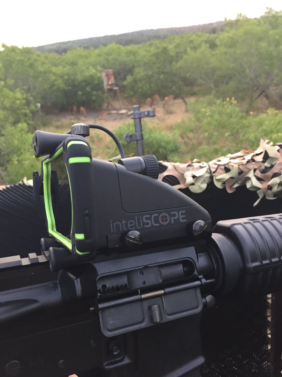 AlanGallagher83's tweet image. Waiting on the hogs. @Inteliscope