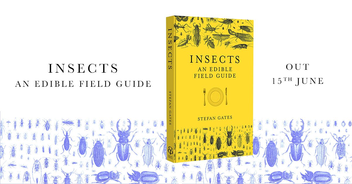 StefanGates tweet media